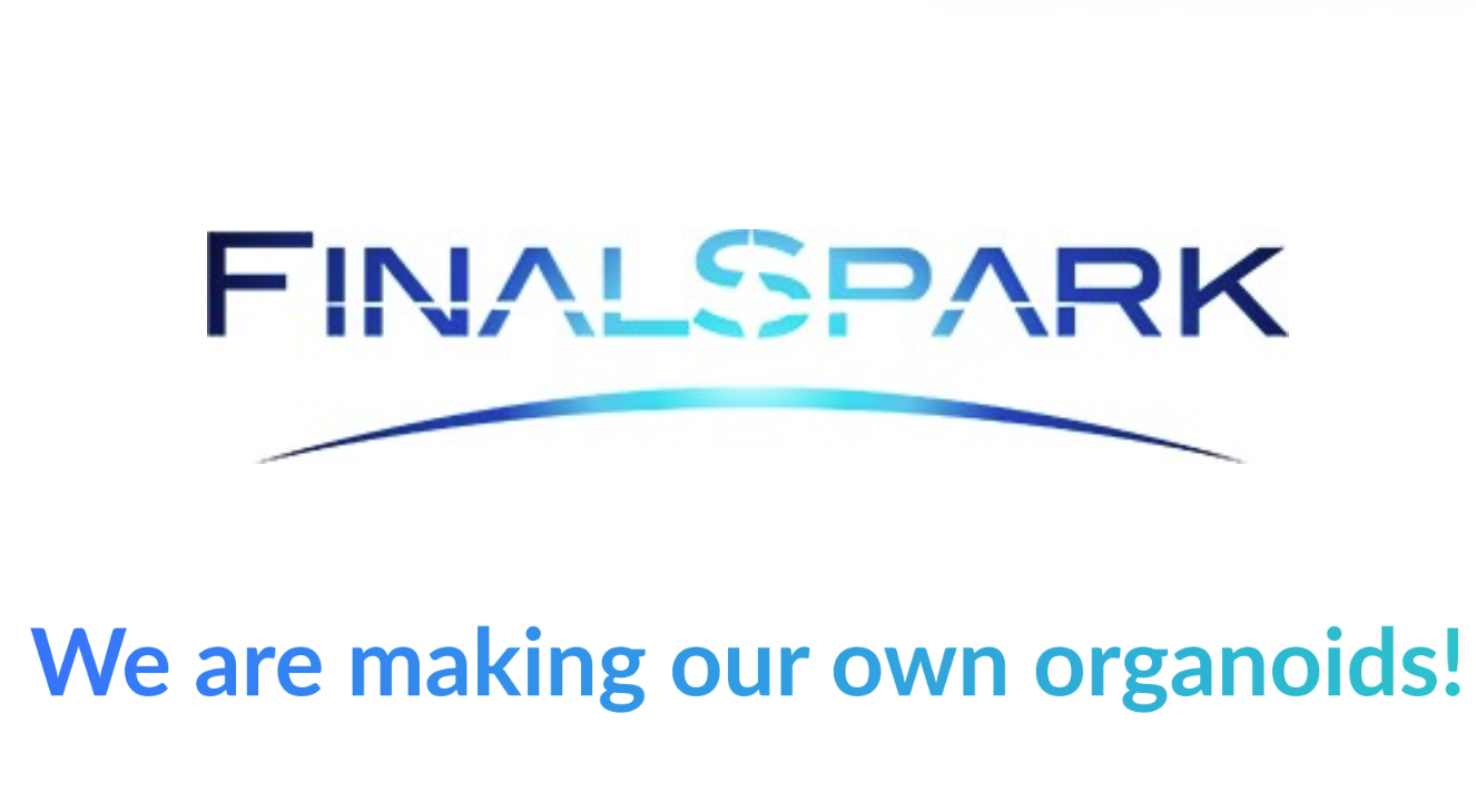 Screenshot 2025-12-16 at 10.00.06